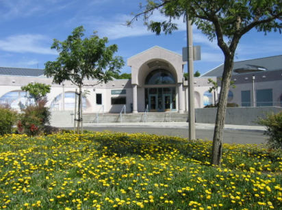 Screen Shot 2016-01-14 at 11.49.03 AM